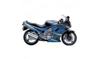 Cheap Kawasaki ZZR600 Fairings