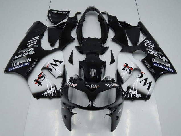 2002-2006 Kawasaki ZX12R Motorcycle Fairings - Glossy Black White West