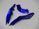 2013-2024 Kawasaki Ninja 300 EX300R Motorcycle Fairings - Blue Black White Flame