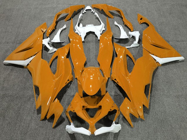 2019-2022 Kawasaki ZX6R Motorcycle Fairings - White Orange