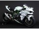2015-2022 Kawasaki Ninja H2 Motorcycle Fairings - White Silver Green