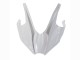 2015-2022 Kawasaki Ninja H2 Motorcycle Fairings - White Silver Green