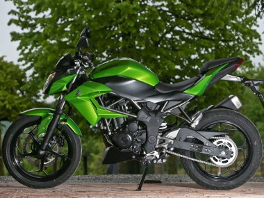 Cheap 2015-2016 Kawasaki Z250/Z300 Motorcycle Fairings - Green Matte Black