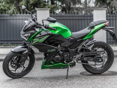 Cheap 2015-2016 Kawasaki Z250/Z300 Motorcycle Fairing Kits - Green Matte Black