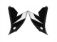 2022-2025 Kawasaki Versys 650 Motorcycle Fairings - Glossy Black White
