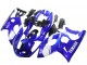 1996-2007 Yamaha YZF600R Thundercat Motorcycle Fairing - Blue White Silver
