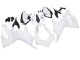 2020-2024 Ducati Panigale V2 Motorcycle Fairings - Unpainted