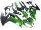 2005-2010 BMW K1200S Motorcycle Fairings - Green Matte Black
