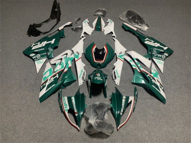 Cheap 2017-2018 BMW S1000RR Motorcycle Fairings - White Green