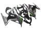 2013-2024 Kawasaki EX300 Motorcycle Fairings - Glossy Black Matte Black Green