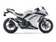 2013-2024 Kawasaki EX300 Motorcycle Fairings - White Black