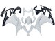 2013-2024 Kawasaki EX300 Motorcycle Fairings - White Black