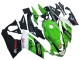 2006-2011 Aprilia RS125 Motorcycle Fairing - Green White Black