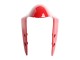 2015-2020 Ducati 1299 Motorcycle Fairings - Red