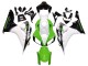 2006-2007 Honda CBR1000RR Motorcycle Fairing - White Green Glossy Black