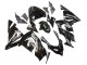 2004-2005 Kawasaki ZX10R Motorcycle Fairings - Glossy Black Ninja