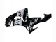2006-2007 Kawasaki ZX10R Motorcycle Fairings - Glossy Black White West