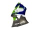 1998-1999 Kawasaki ZX6R Motorcycle Fairings - Green White Blue Silver Glossy Black