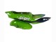 1998-1999 Kawasaki ZX6R Motorcycle Fairings - Green White Blue Silver Glossy Black