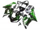 2005-2006 Kawasaki ZX6R Motorcycle Fairing - Glossy Black Green Flame