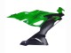 2019-2022 Kawasaki ZX6R Motorcycle Fairings - Green Matte Black