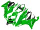 2019-2022 Kawasaki ZX6R Motorcycle Fairings - Green