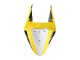2019-2021 Yamaha YZF R3/R25 Motorcycle Fairings - Yellow White Black Stripe