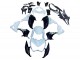 2013-2018 Kawasaki Z800 Motorcycle Fairings - White Glossy Black Green