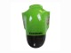 2002-2006 Kawasaki ZX12R Motorcycle Fairing - Green Glossy Black Elf Touch4 Monster
