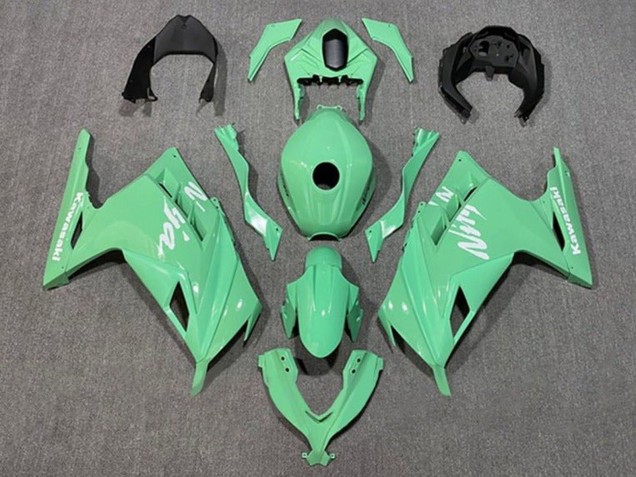 2013-2024 Kawasaki EX300 Motorcycle Fairings - Light Green White