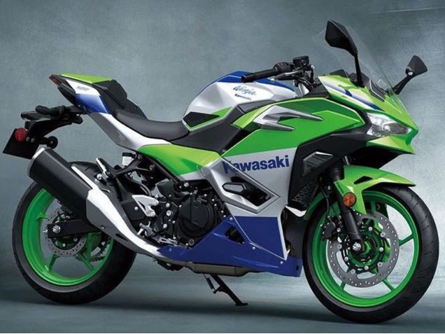 2024-2025 Kawasaki Ninja 500 EX500R Motorcycle Fairings - Silver Green Blue
