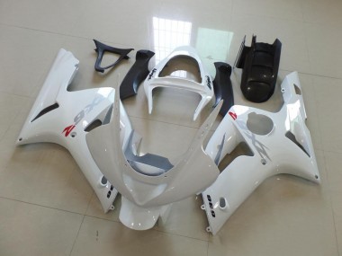 Cheapest 2003-2004 White with Silver Decals Kawasaki ZX6R Motorcycle Fairings