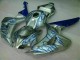 Cheapest 2006-2007 Blue Flame Silver Honda CBR1000RR Motorcycle Fairing Kits