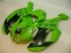 Cheapest 2007-2008 Green Black Dunlop Kawasaki ZX6R Motorbike Fairing Kits